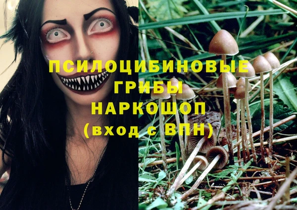 спайс Вяземский