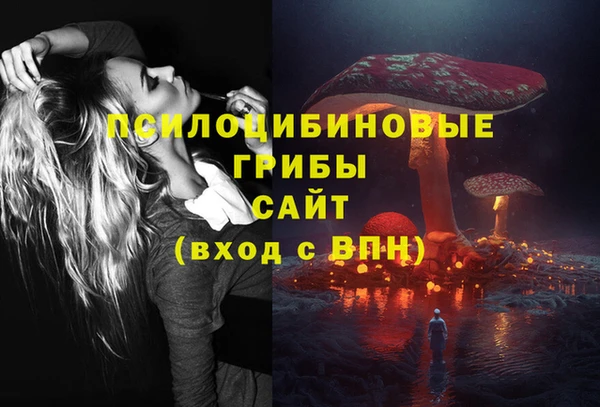спайс Вяземский